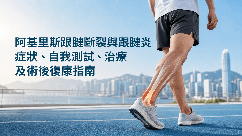 阿基里斯跟腱斷裂與跟腱炎的足踝解剖示意圖